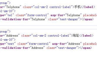 asp.net core 验证属性不显示asp-validation-for不显示结果